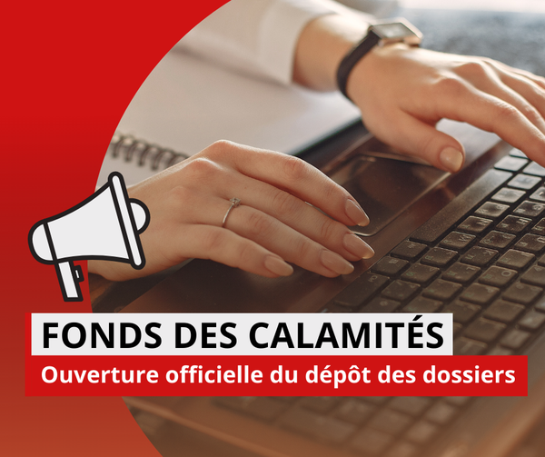 fonds_des_calamites.png