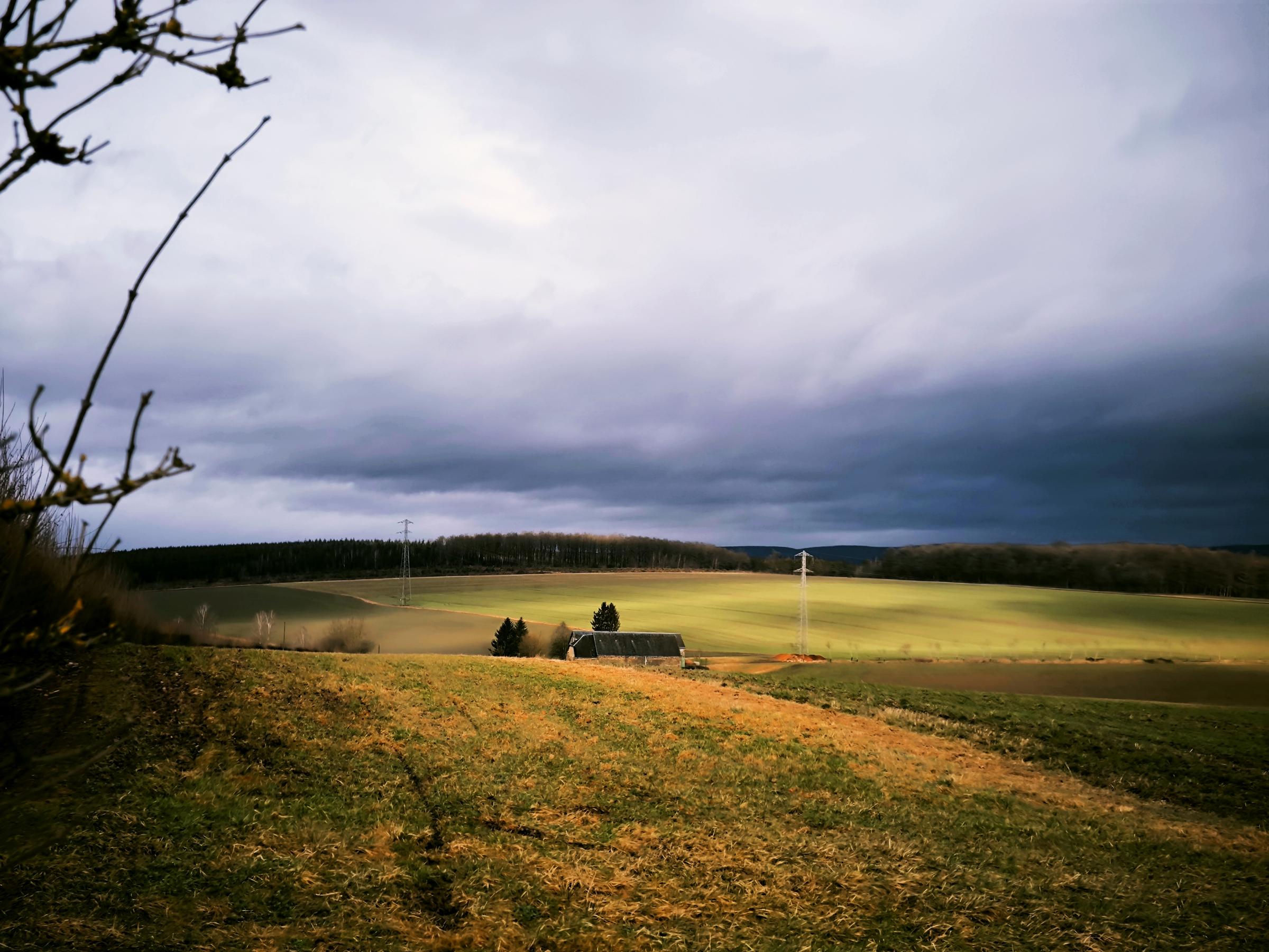 la_ferme_du_vivier-02-2025.jpg