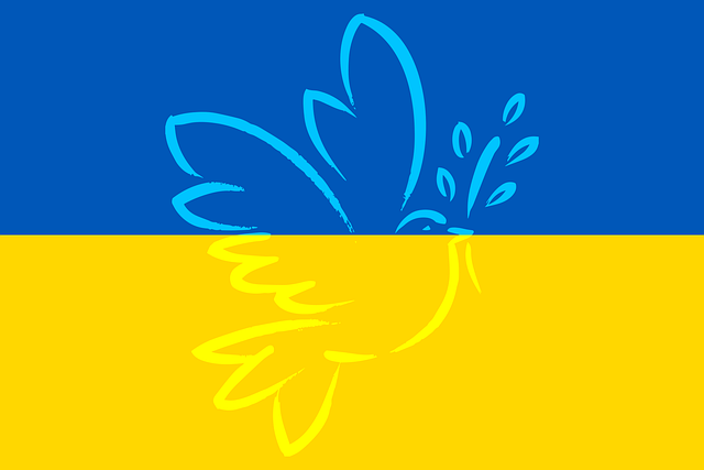 ukraine-gc1c7b06ed_640.png